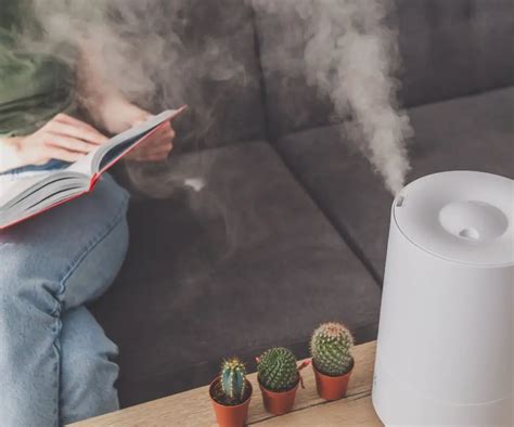 can a humidifier damage a tv|The Complete Humidifier Guide: Types, Benefits, Usage Tips and .